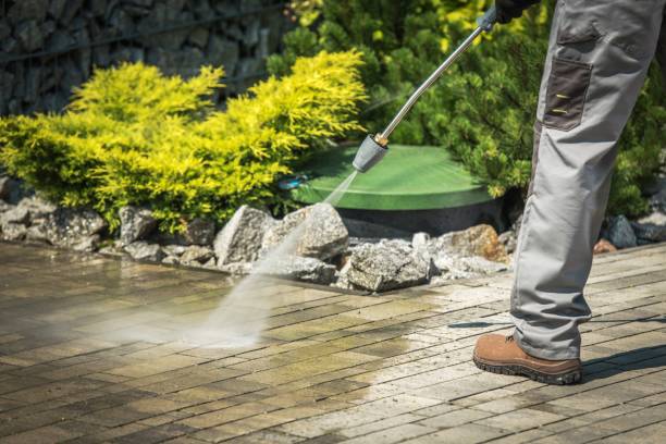 Best Patio and Deck Pressure Washing  in Lonville, GA