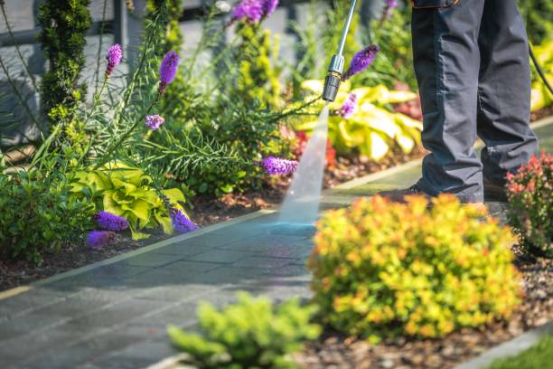 Loganville, GA Pressure Washing Services Company